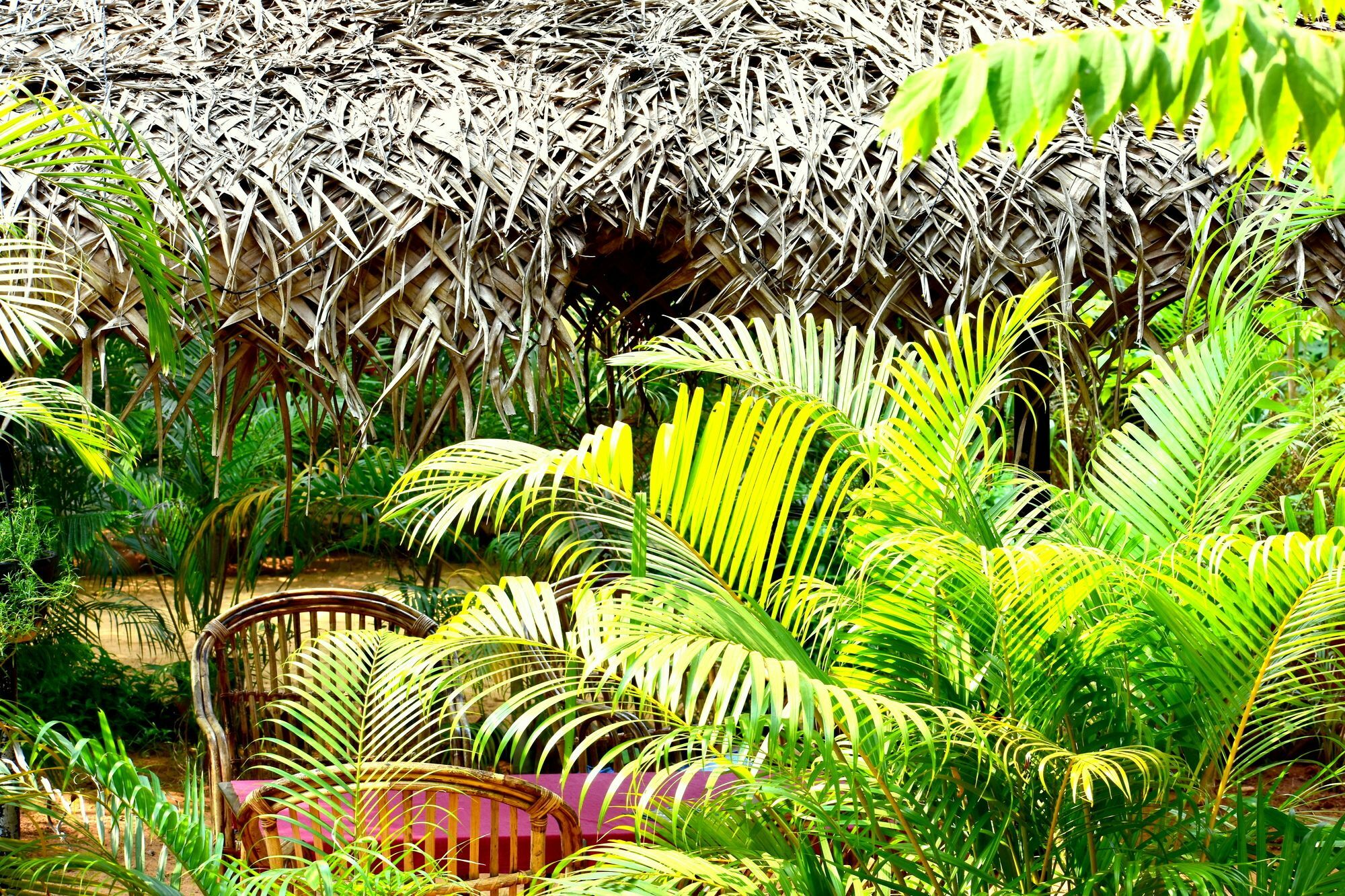 Patnem Garden Resort Patnem Beach Dış mekan fotoğraf
